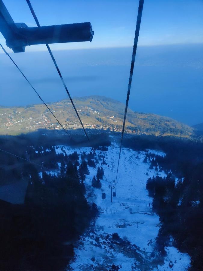 Chalet Recent Coeur Station Thollon-les-Memises Dış mekan fotoğraf